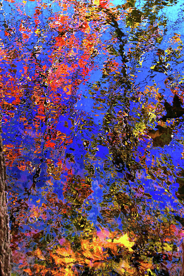 Autumn Mosaics Photograph by Ola Allen