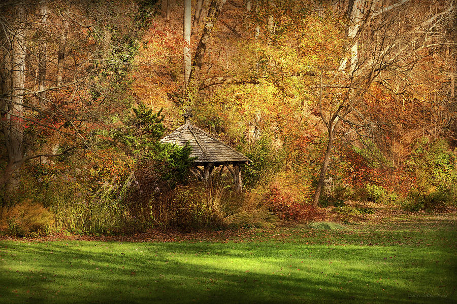 Autumn - Mother Natures house Photograph by Mike Savad