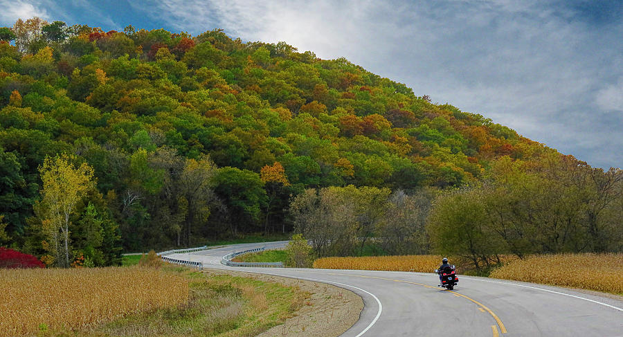 Autumn Motorcycle Rider / Black Photograph by Patti Deters