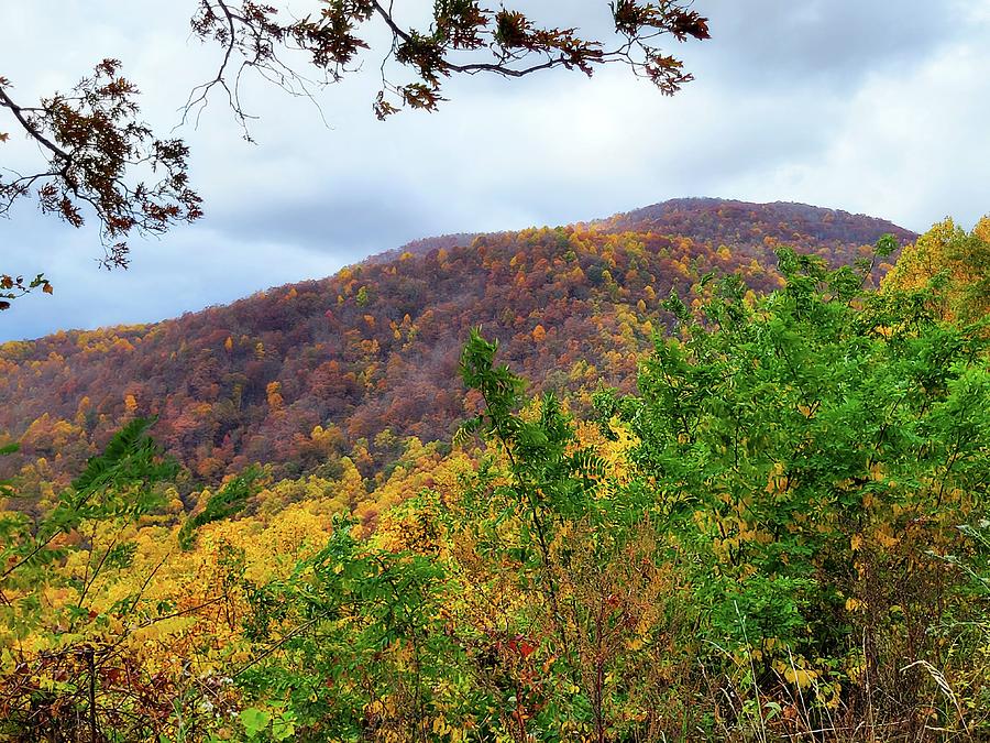 Autumn Mountain  Photograph by Ally White