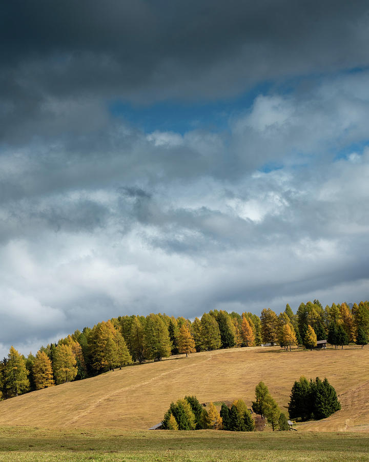 Autumn mountain Landscape Photograph by Michalakis Ppalis