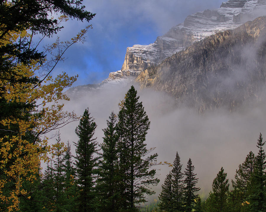 Autumn Mountain Light - Banff Photograph by Stephen Vecchiotti