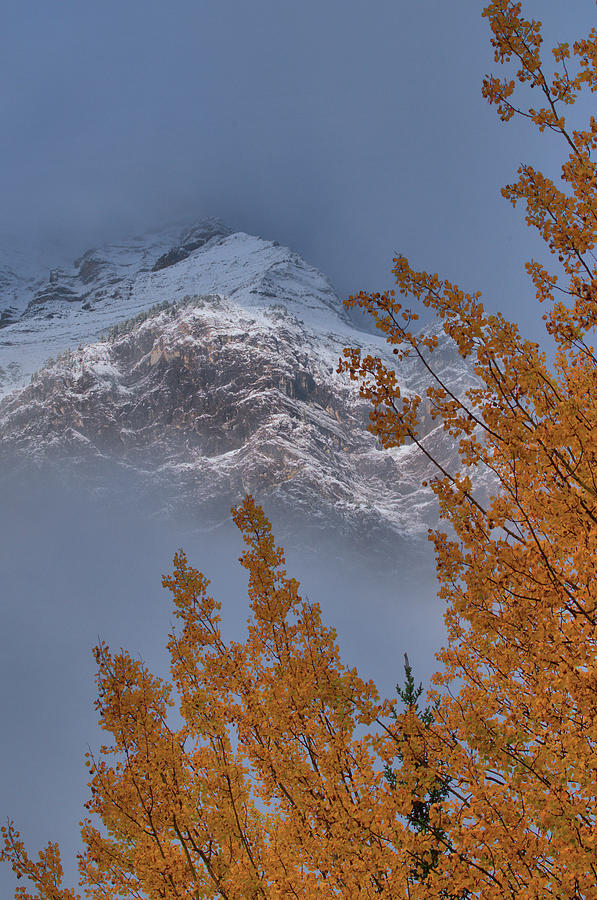 Autumn Mountain Light  Photograph by Stephen Vecchiotti
