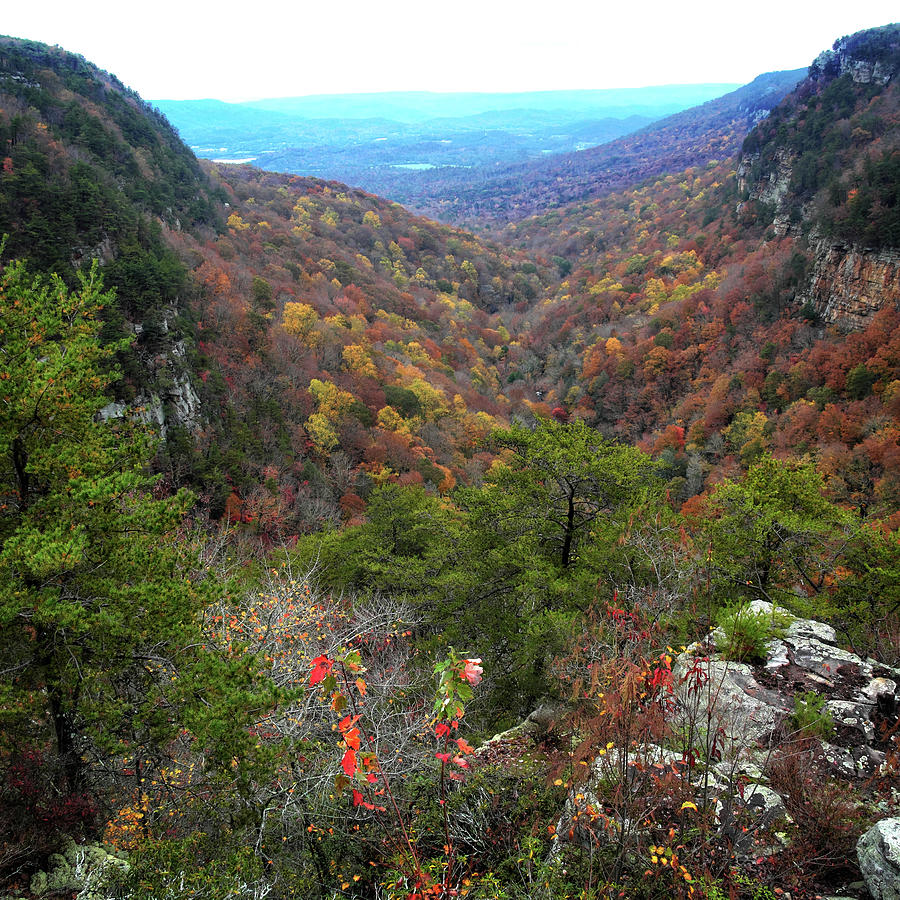 Autumn Mountain View Photograph by George Taylor