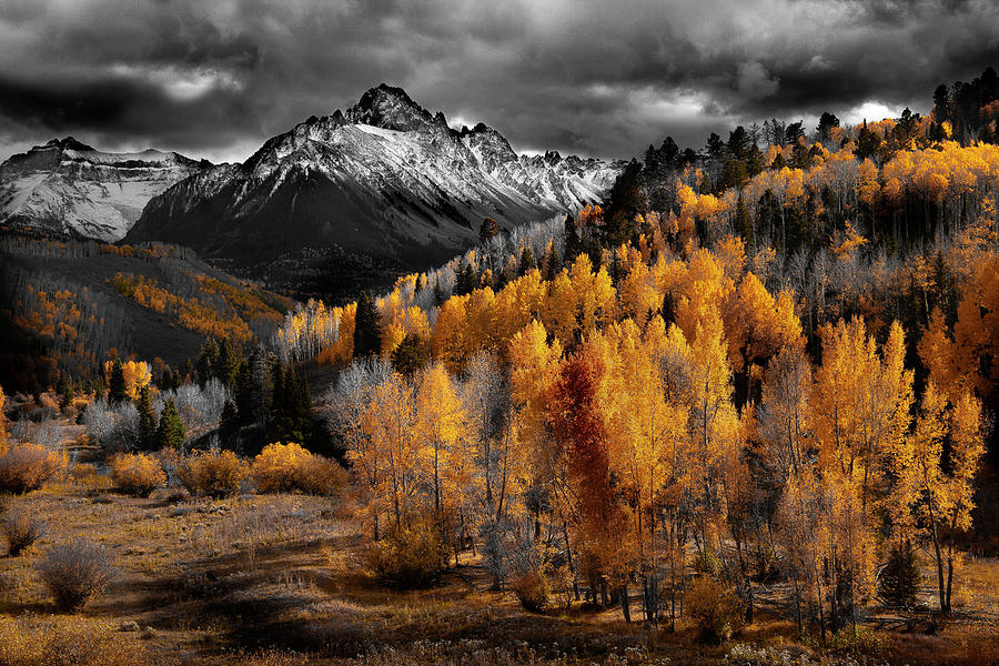 Autumn Mountains Black and White and Color Study D Photograph by David Chasey