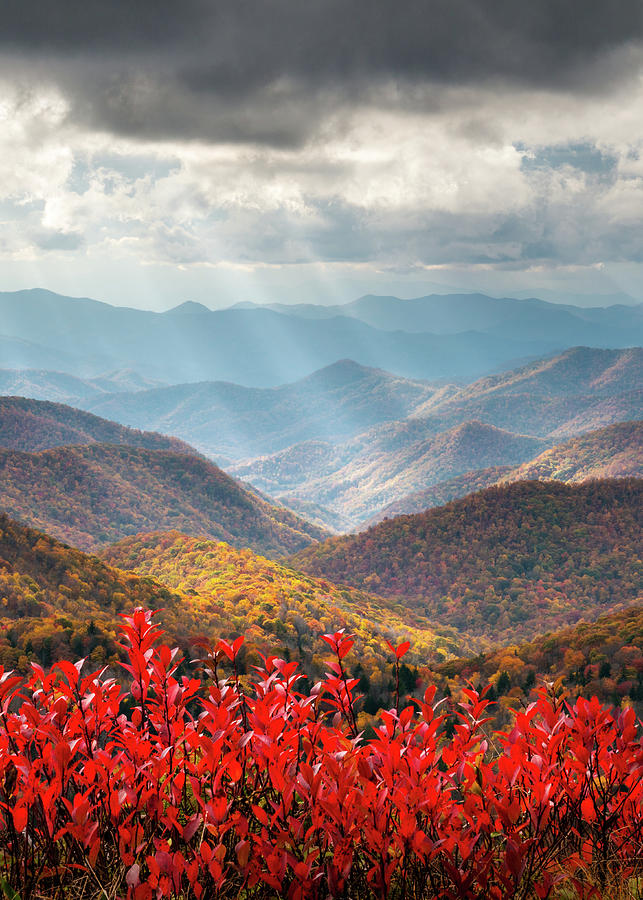 Autumn Mountains North Carolina Blue Ridge Parkway Asheville Nc Photograph
