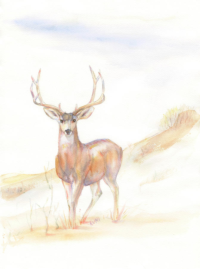 Deer Photograph - Autumn mule deer buck watercolour by Phil And Karen Rispin