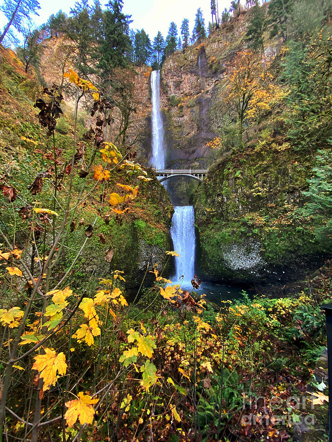 Autumn Multnomah Falls Photograph by Jeanette French