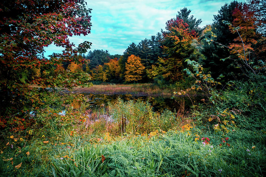 Autumn Nature Landscape In New England Photograph