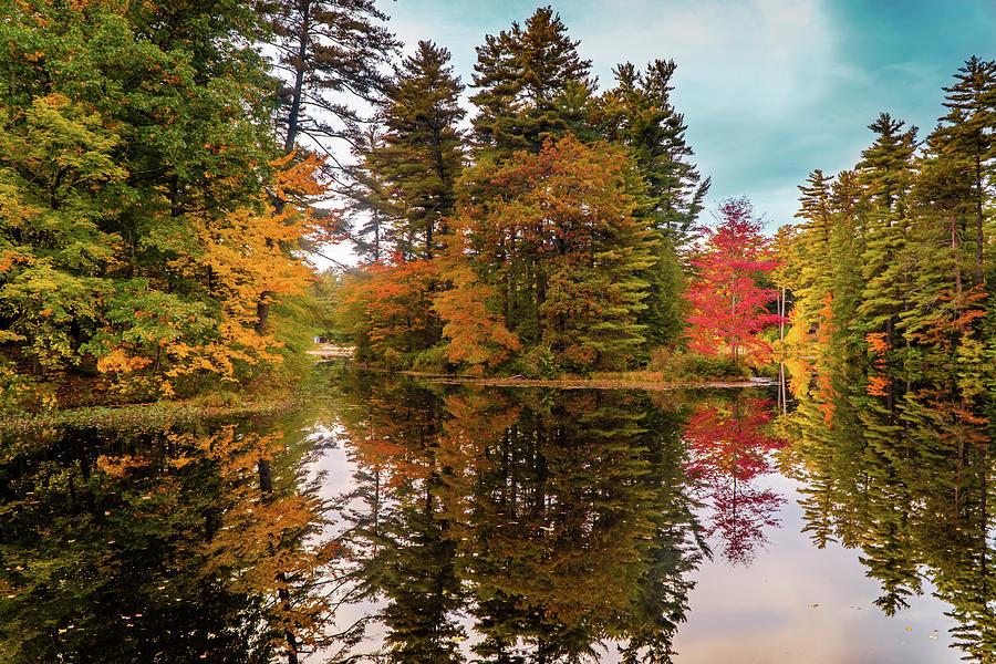 Autumn Nature Reflections 3 Photograph