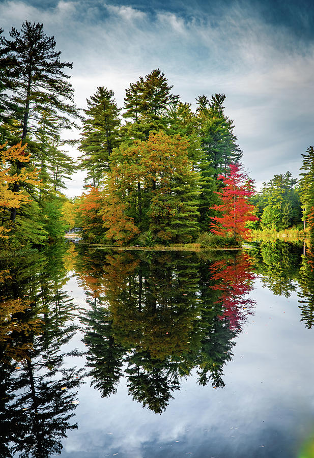 Autumn Nature Reflections Photograph