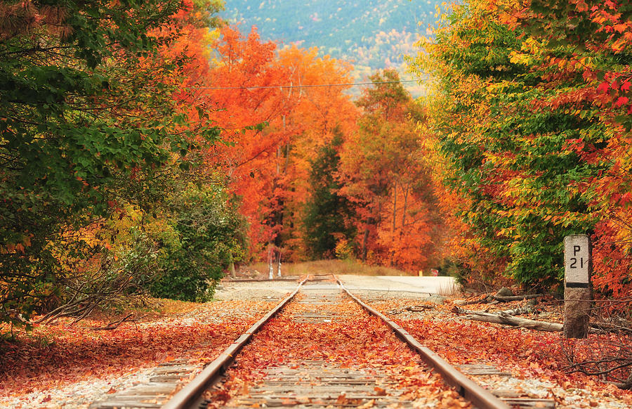 Autumn New England Photograph by Nan Zhong