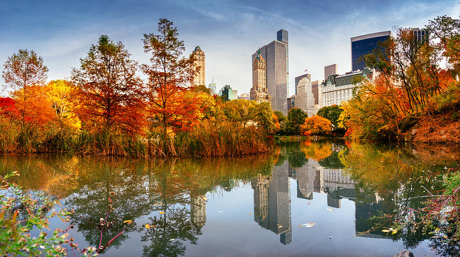 Autumn New York City Skyline Photograph by Ferrantraite