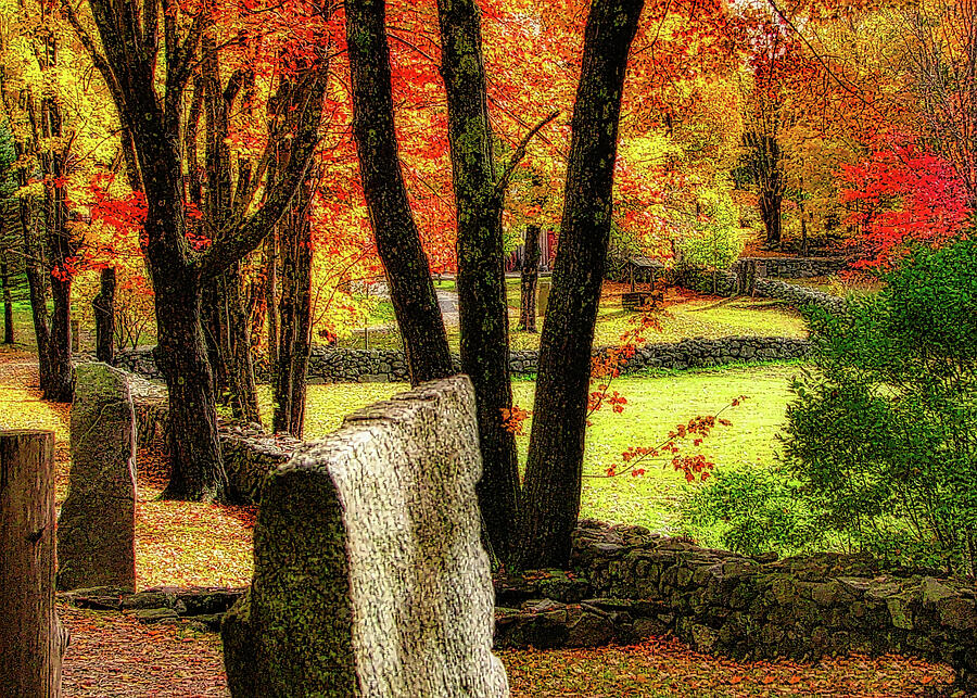 Tree Photograph - Autumn Nostalgia by Scott Loring Davis