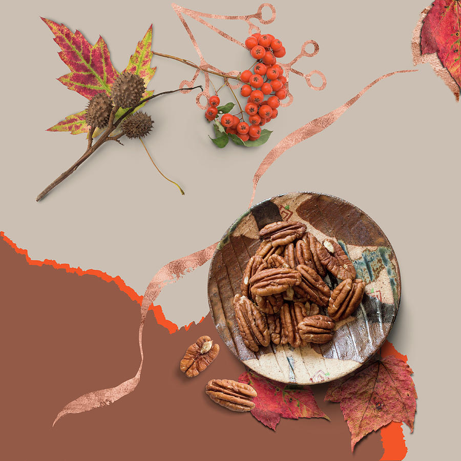 Autumn Nuts Collage Digital Art by Judi Suni Hall