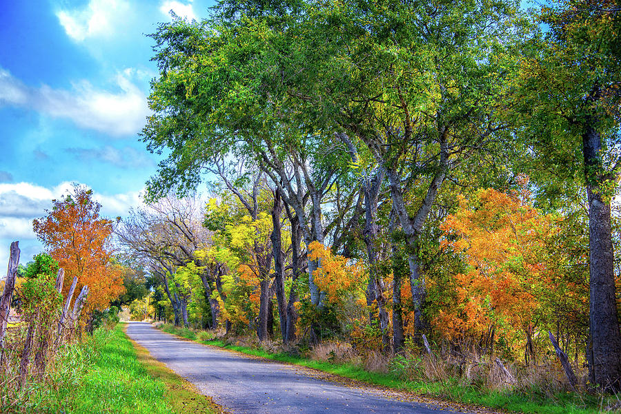 Autumn on a Country Road Photograph by Lynn Bauer
