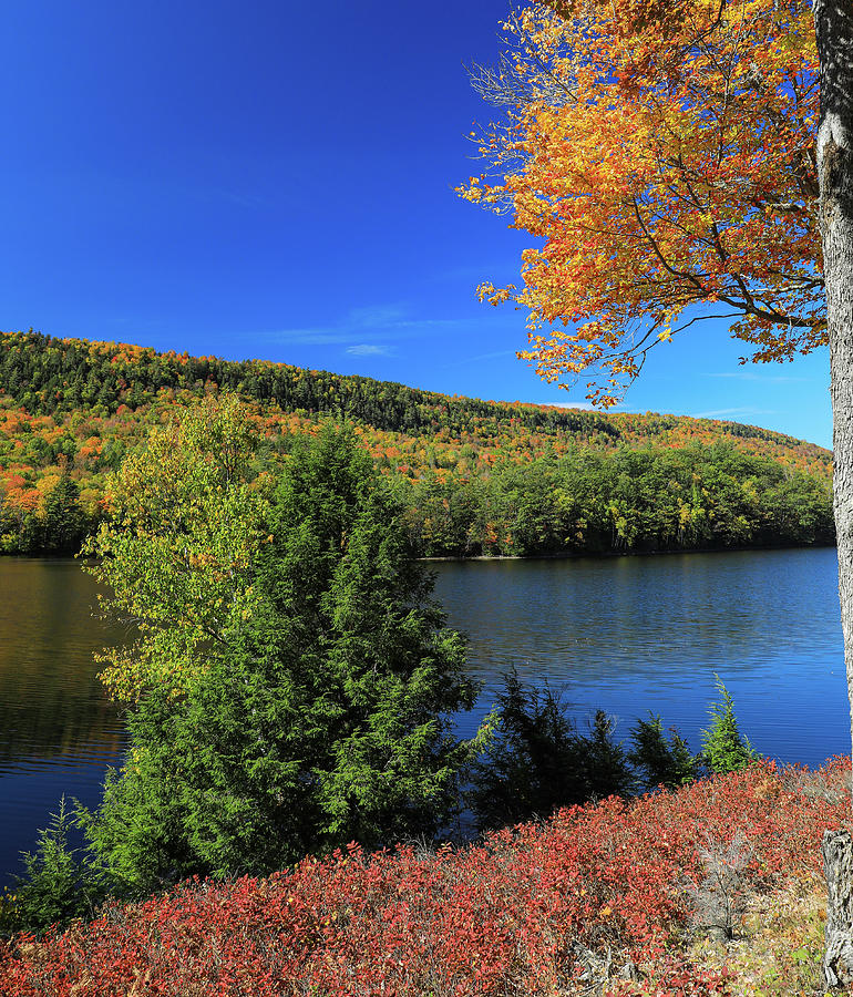 Autumn On Androscoggin River Maine Photograph by Dan Sproul