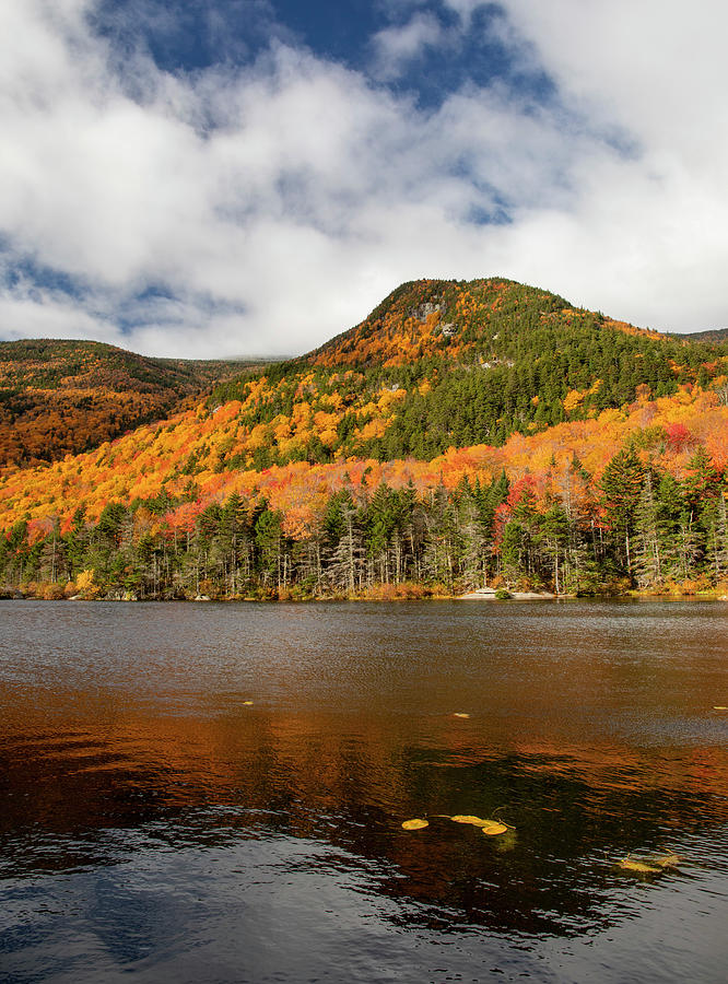 Autumn On Beaver Pond New Hampshire Photograph by Dan Sproul