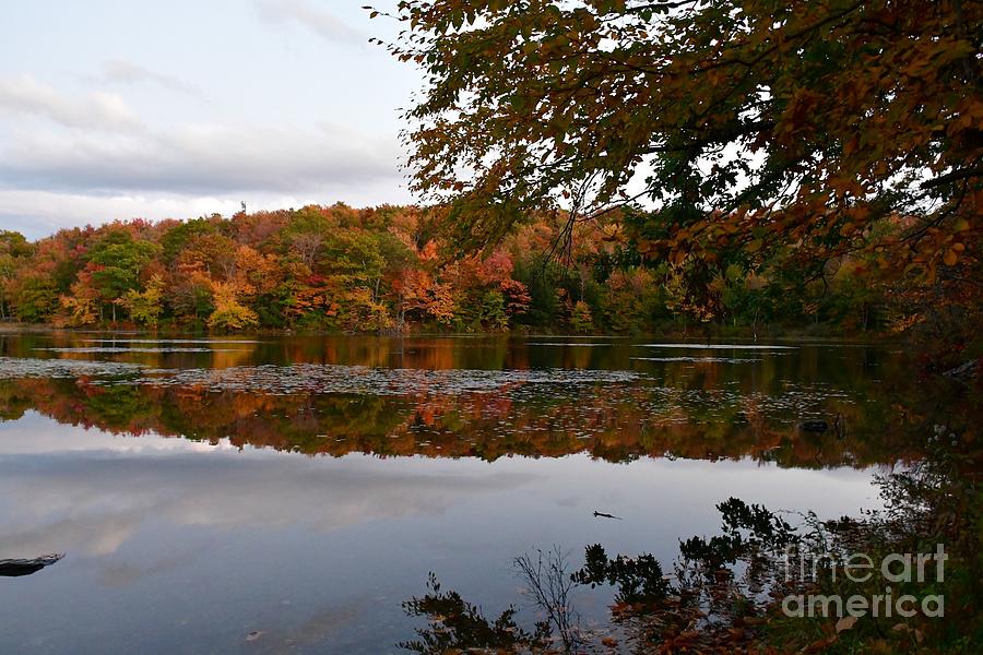 Autumn On Berry Pond Photograph
