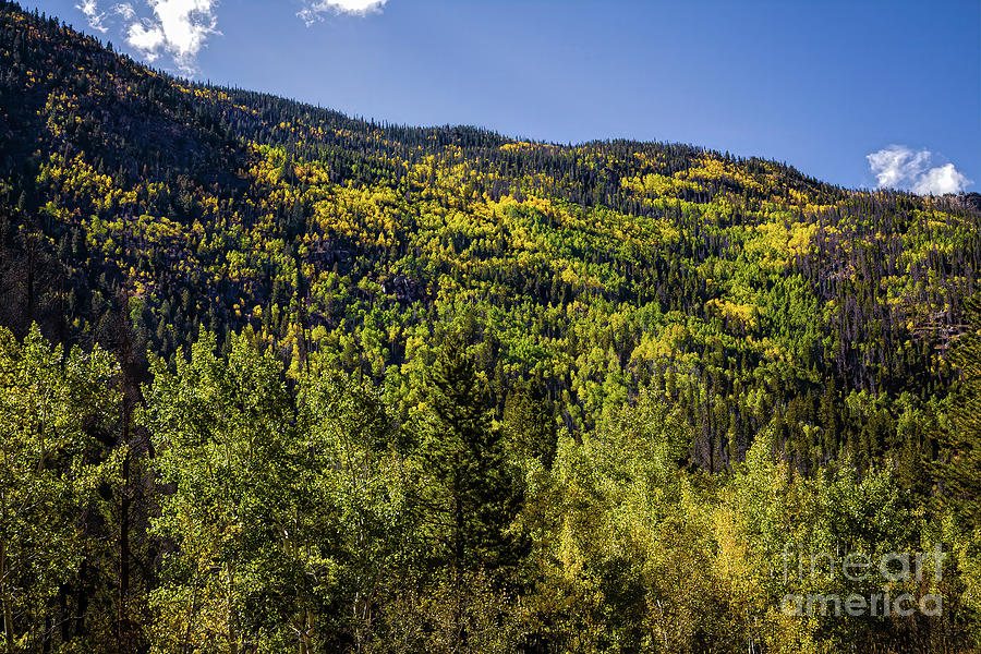 Autumn on Cameron Pass Photograph by Jon Burch Photography
