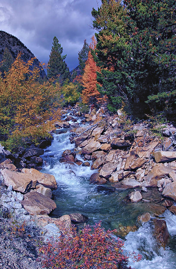 Autumn On Chalk Creek Photograph