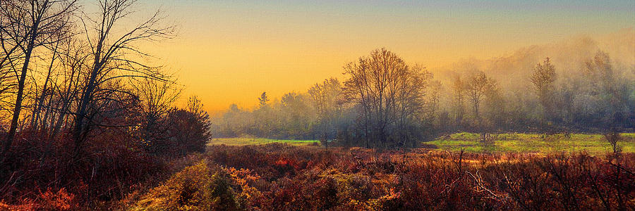 Autumn on Cromwell Valley Park Photograph by Reynaldo Williams - Fine