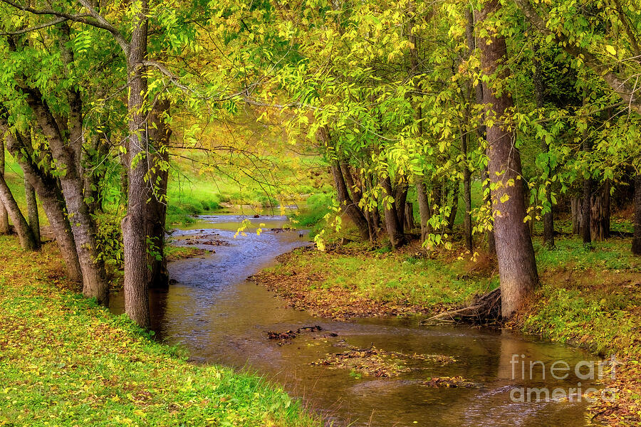 Autumn on Fall Creek Photograph by Shelia Hunt