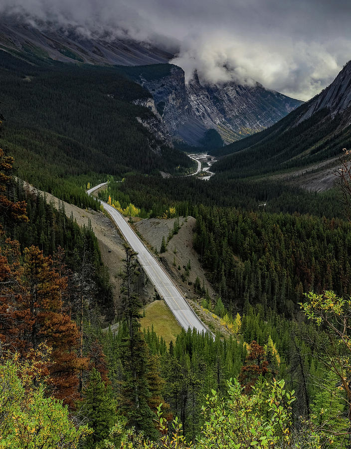 Autumn On Icefields Parkway Photograph by Dan Sproul