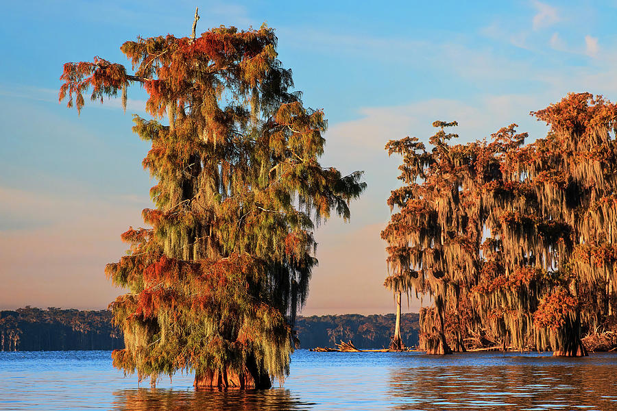Autumn on Lake Verret Photograph by Andy Crawford