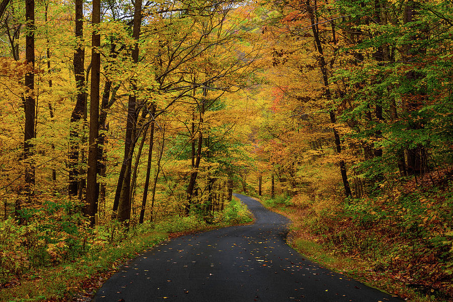 Autumn on Linn Run Photograph by Clare Kaczmarek - Fine Art America