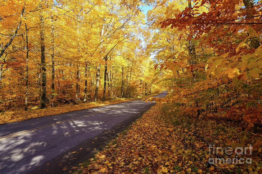 Autumn On Miners Castle Road Photograph