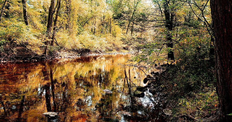 Autumn on Mountain Creek. Photograph by Paul Kercher