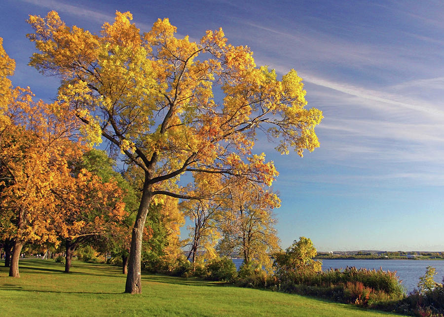 Tree Photograph - Autumn on Onondaga Lake by Suzanne Stout
