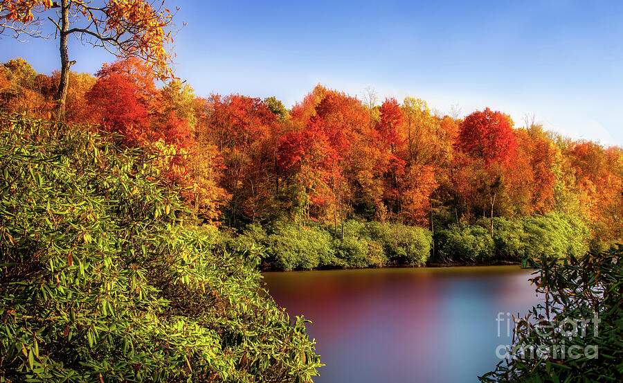 Autumn on Price Lake Photograph by Shelia Hunt