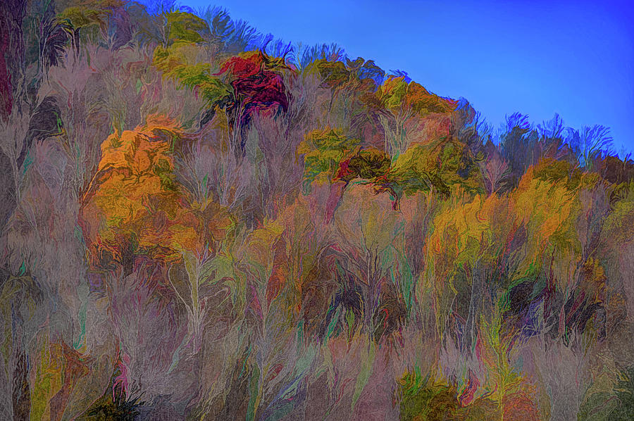 Autumn on Ramapo Mountain Photograph by Alan Goldberg