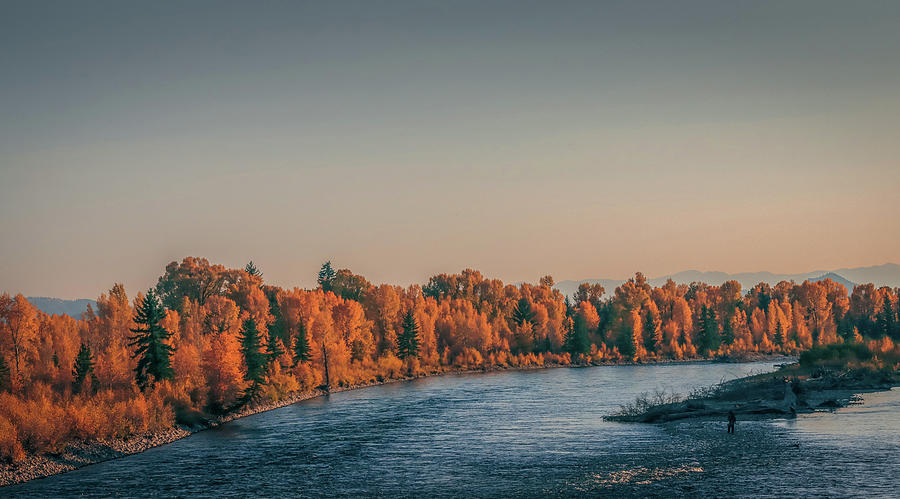 Autumn On Snake River Wyoming Photograph by Dan Sproul