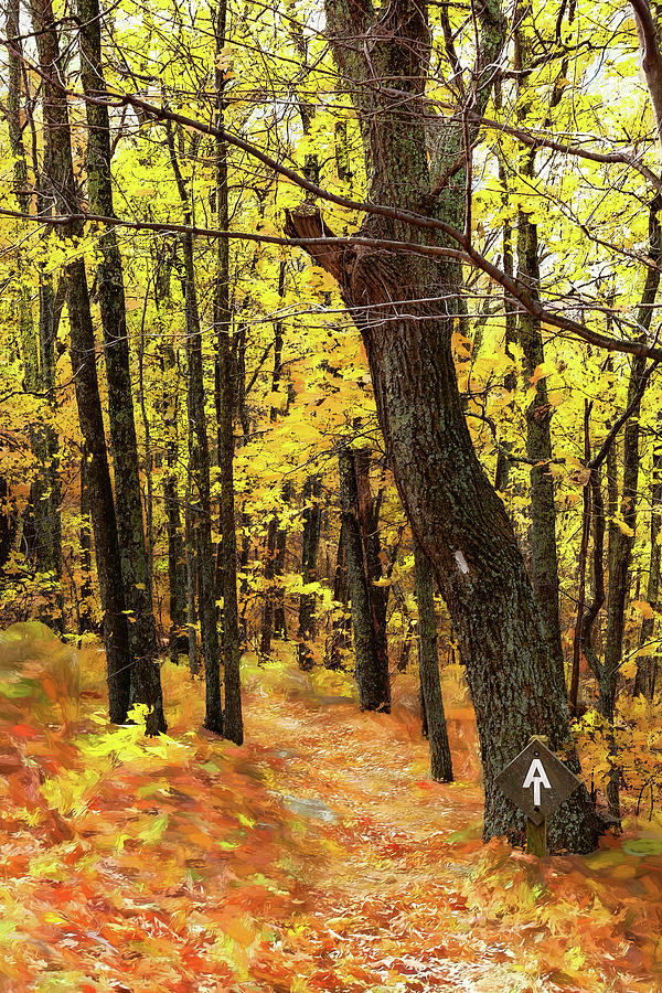 Autumn on the Appalachian Trail ap Painting by Dan Carmichael