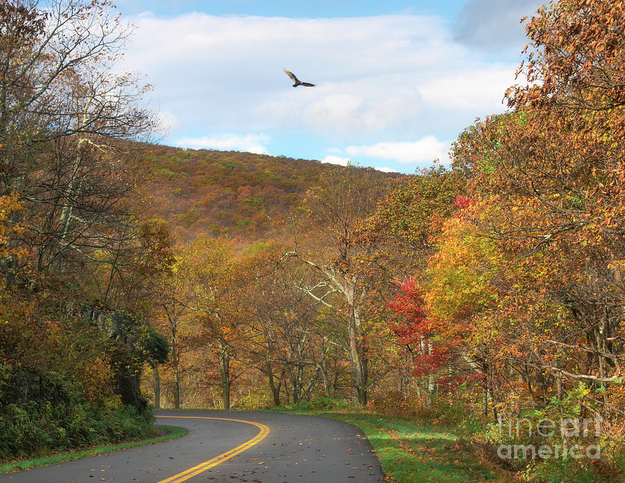 Autumn On The Blue Ridge Parkway Photograph