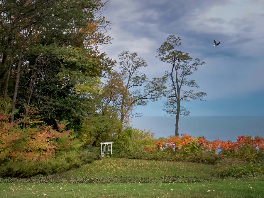 Autumn on the Bluffs of Lake Erie Photograph by Rebecca Samler
