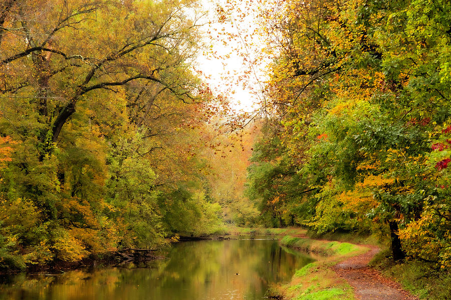 Autumn on the Canal Photograph by Elsa Santoro