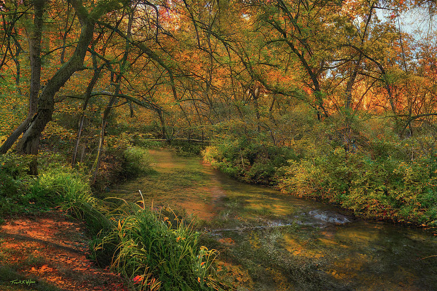 Autumn on The Creek D Digital Art by Frank Wilson