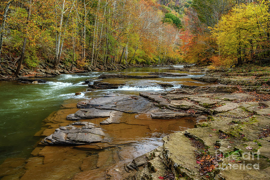 Autumn on the Elk River Photograph by Thomas R Fletcher