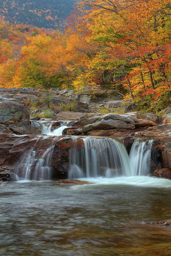 Autumn on the Ellis River Photograph by White Mountain Images