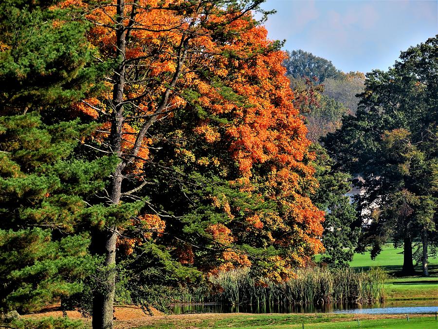 Autumn on the Golf Course Photograph by Linda Stern