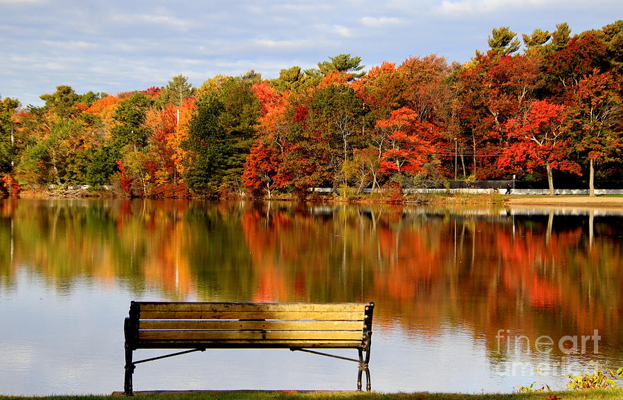 Autumn on the Lake Photograph by Lennie Malvone