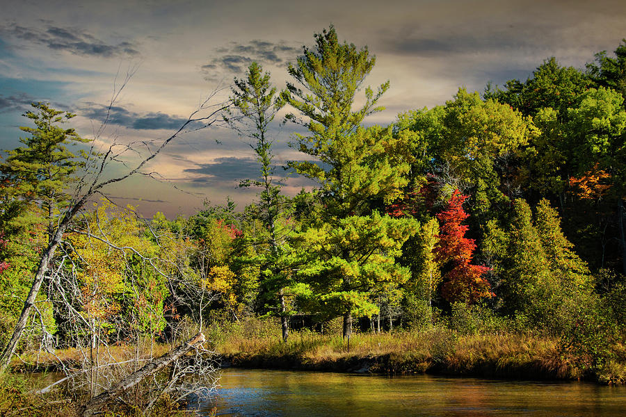 Autumn On The Little Manistee River Photograph