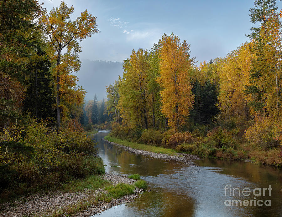 Fall Photograph - Autumn on the Little North Fork by Idaho Scenic Images Linda Lantzy