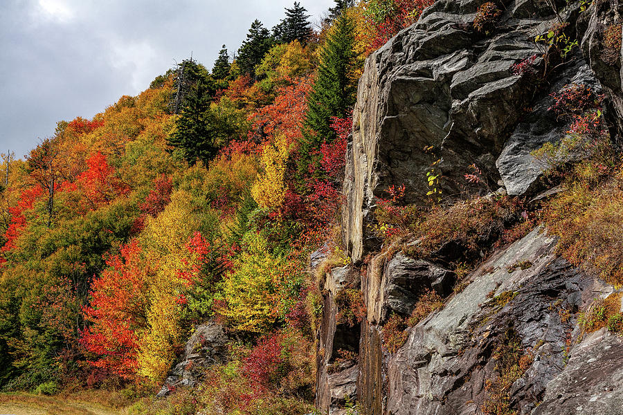 Autumn on the Mountain Photograph by Dan Carmichael