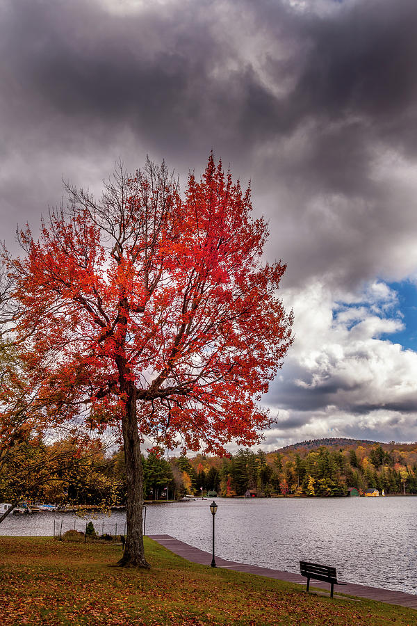 Autumn On The Pond Photograph