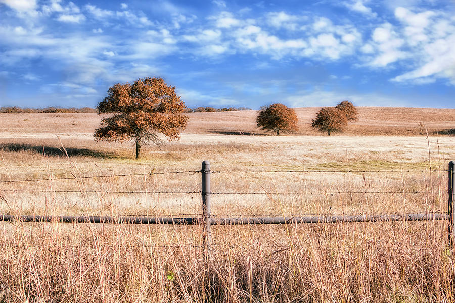 Autumn On The Prairie Landscape photography Photograph by Ann Powell